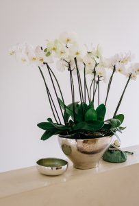 Badezimmer Prinzenvilla | by andy - for better moods